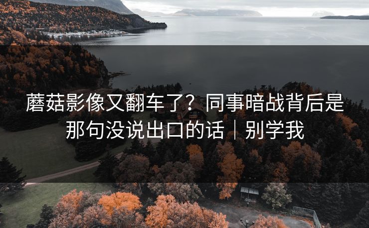 蘑菇影像又翻车了?同事暗战背后是那句没说出口的话|别学我 蘑菇影像又翻车了?同事暗战背后是那句没说出口的话|别学我