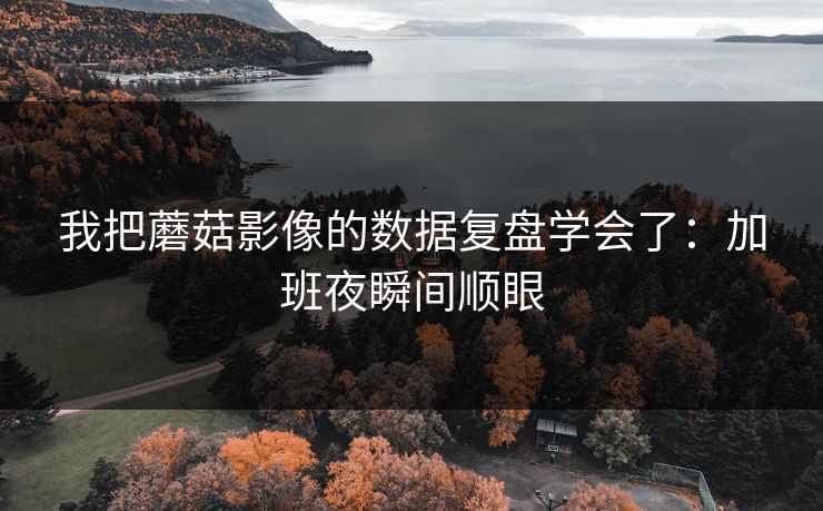 我把蘑菇影像的数据复盘学会了：加班夜瞬间顺眼