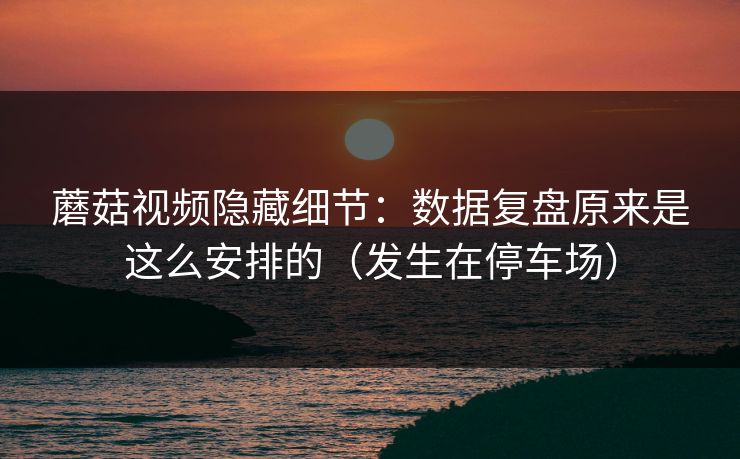 蘑菇视频隐藏细节：数据复盘原来是这么安排的（发生在停车场）