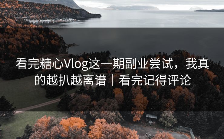 看完糖心Vlog这一期副业尝试，我真的越扒越离谱｜看完记得评论