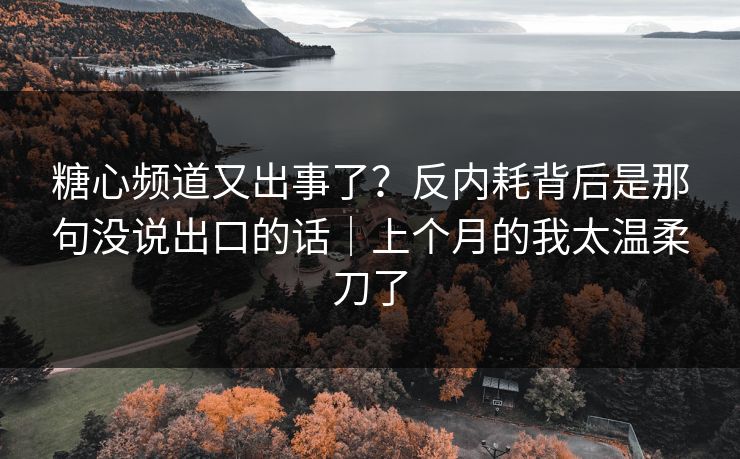 糖心频道又出事了？反内耗背后是那句没说出口的话｜上个月的我太温柔刀了