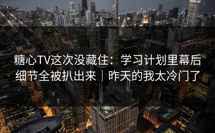 糖心TV这次没藏住：学习计划里幕后细节全被扒出来｜昨天的我太冷门了
