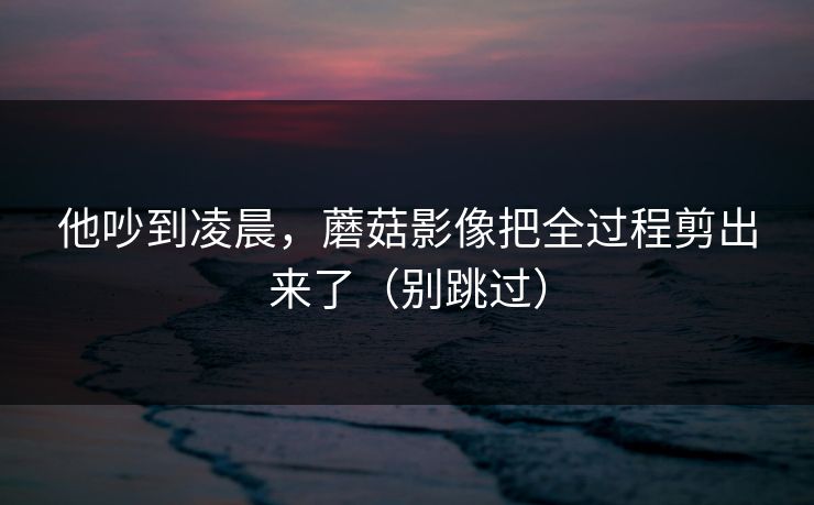 他吵到凌晨，蘑菇影像把全过程剪出来了（别跳过）