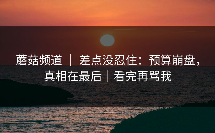 蘑菇频道 ｜ 差点没忍住：预算崩盘，真相在最后｜看完再骂我