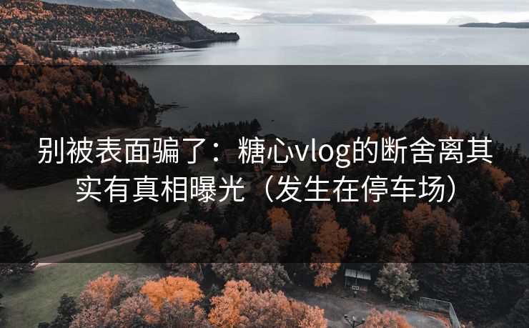 别被表面骗了：糖心vlog的断舍离其实有真相曝光（发生在停车场）