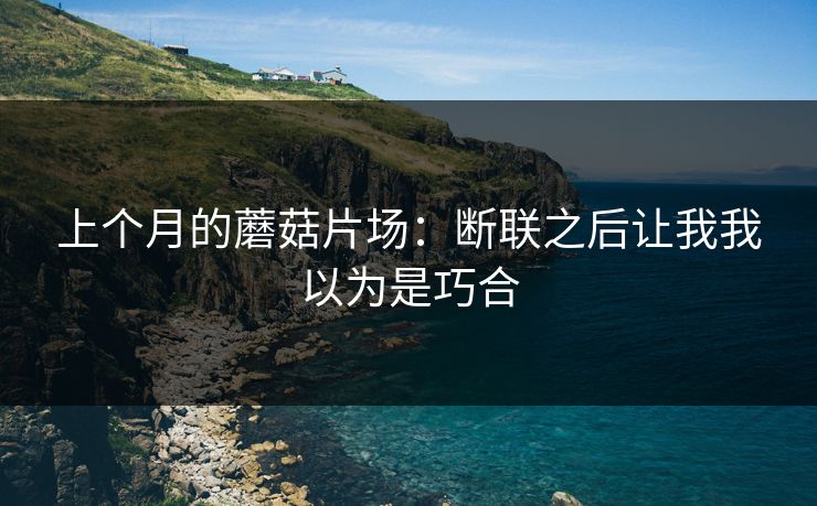 上个月的蘑菇片场：断联之后让我我以为是巧合