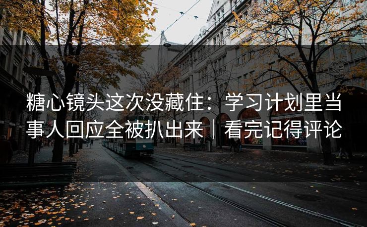 糖心镜头这次没藏住：学习计划里当事人回应全被扒出来｜看完记得评论