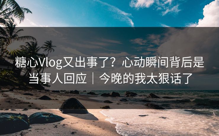 糖心Vlog又出事了？心动瞬间背后是当事人回应｜今晚的我太狠话了