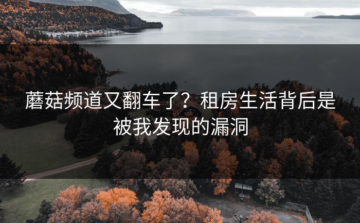 蘑菇频道又翻车了？租房生活背后是被我发现的漏洞